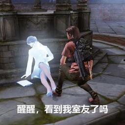 娱乐圈吃瓜游戏视频大全